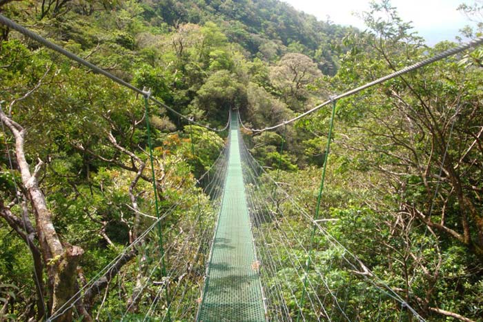 Tour ๐ Hornillas at Miravalles Volcano โ A Full-Day Natural Escape! ๐ฟ