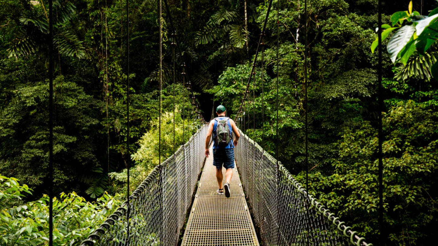 Tour🌿 Hanging Bridges Rainforest Walk – A Walk Above the Trees🌺