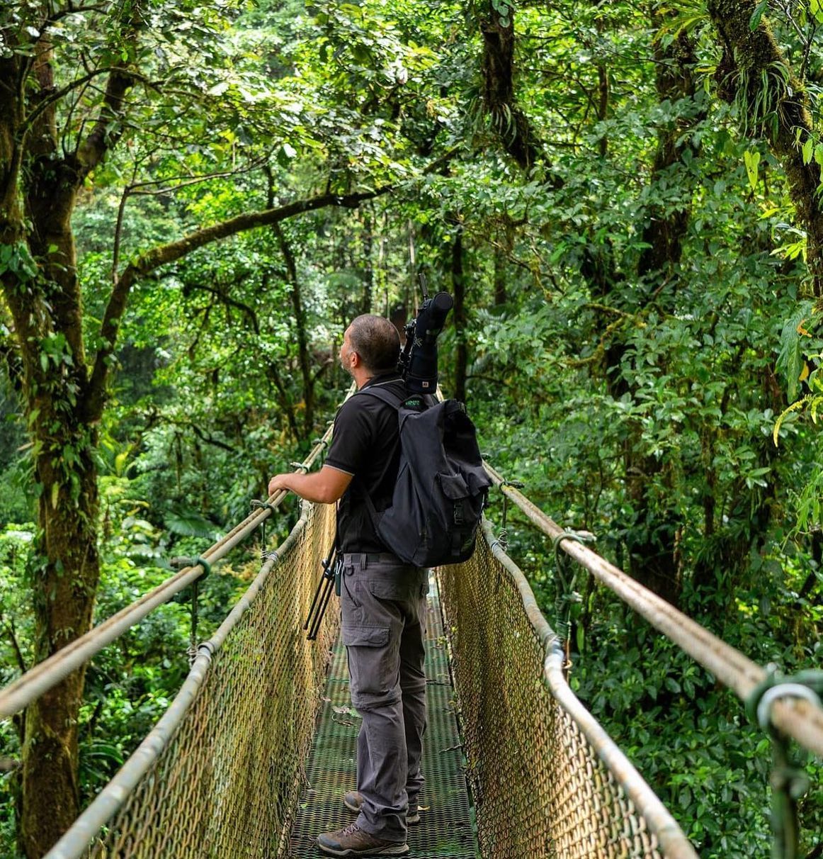 Tour🌿 Hanging Bridges Rainforest Walk – A Walk Above the Trees🌺
