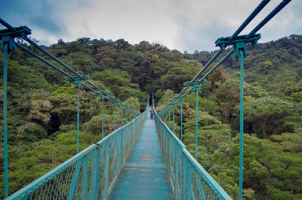 Tour🌿 Hanging Bridges Rainforest Walk – A Walk Above the Trees🌺