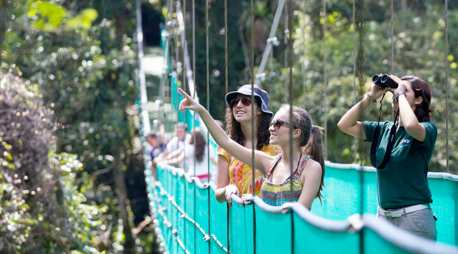 Tour🌿 Hanging Bridges in Monteverde – Walk Among the Clouds