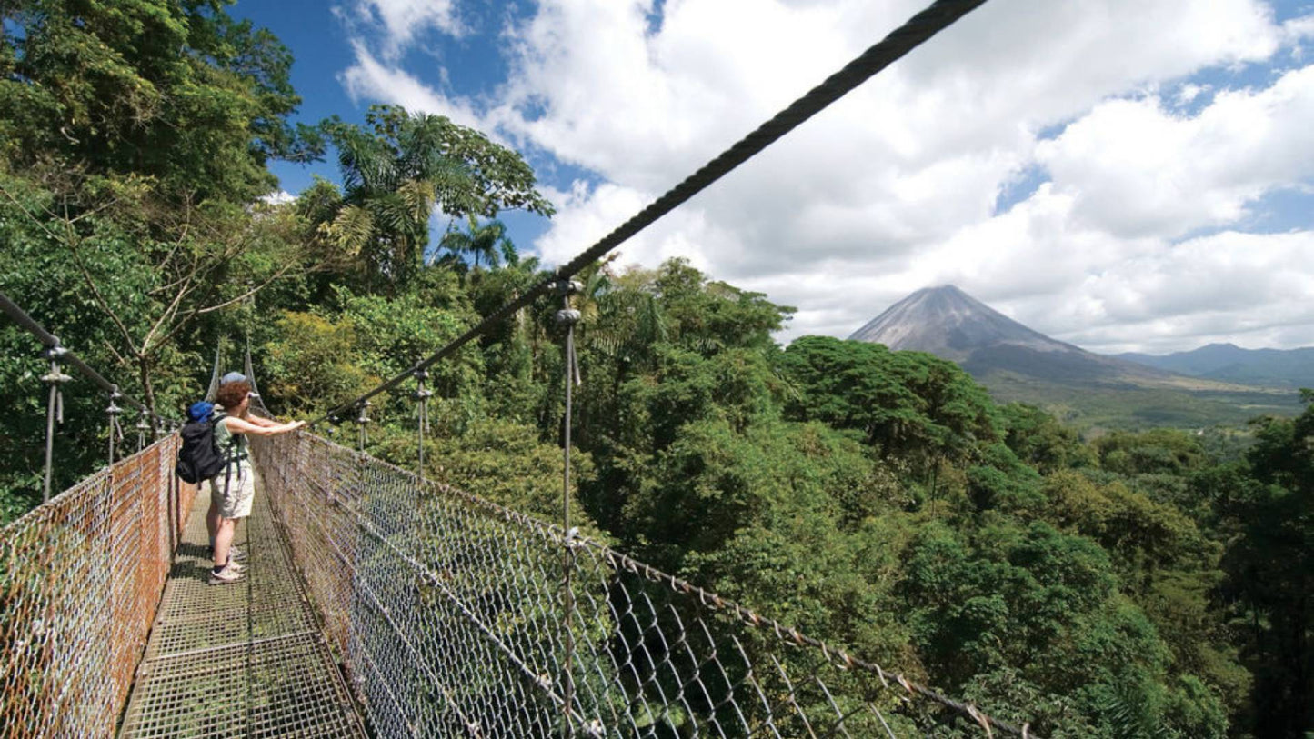 Tour🌿 Hanging Bridges in Monteverde – Walk Among the Clouds